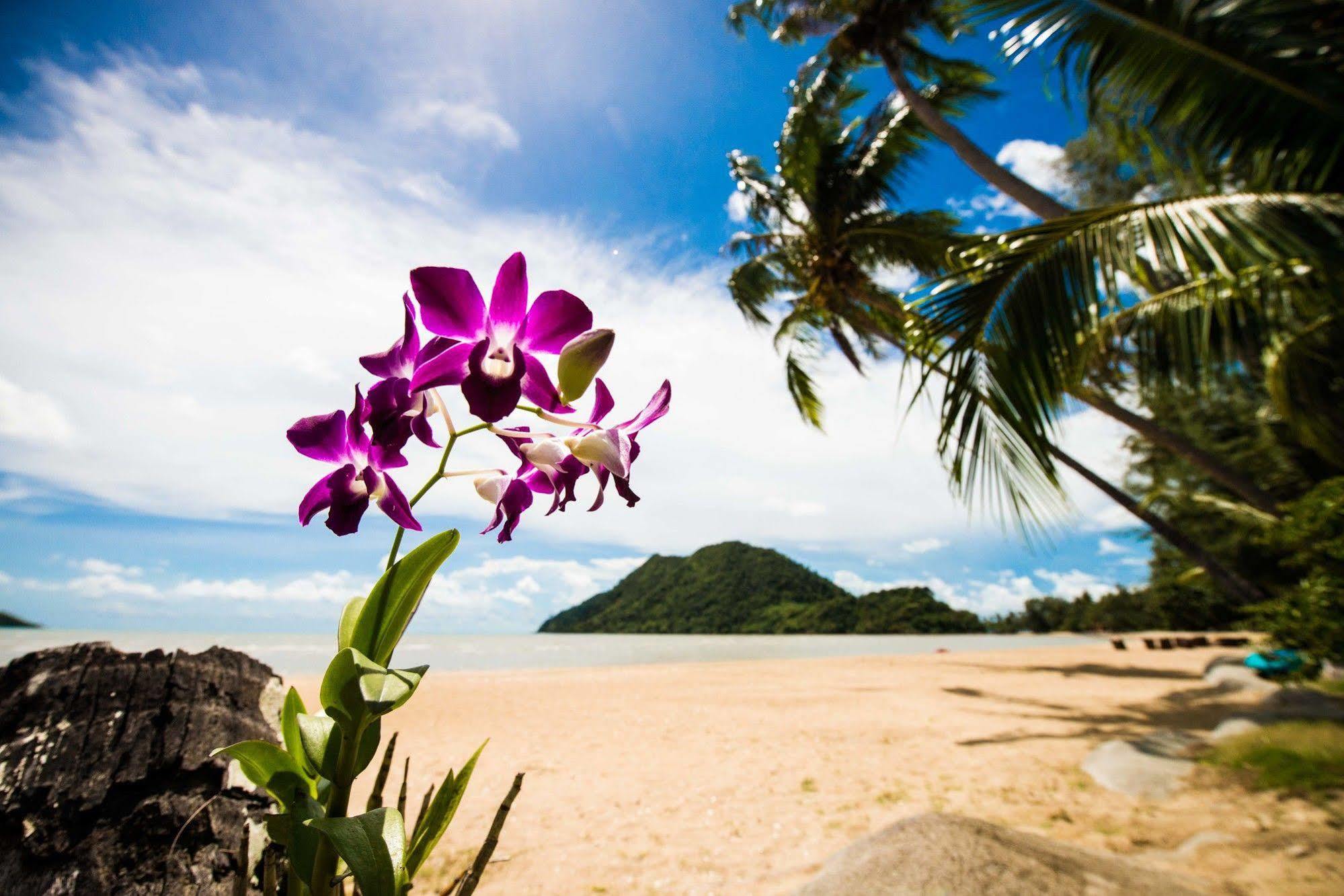 Villa Manipura Koh Chang Ngoại thất bức ảnh